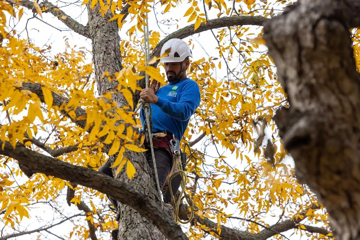 Skilled Storm Damage Cleanup crew working in Waukegan