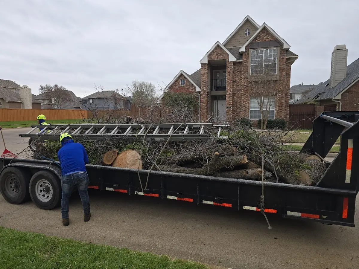 Expert Deadwooding with proper safety equipment in Waukegan